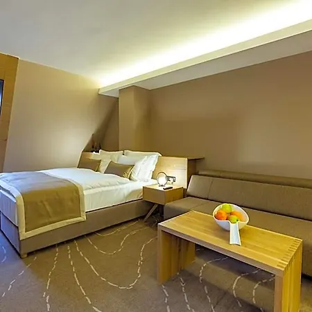 Monti & Wellness 4* Hrasnica