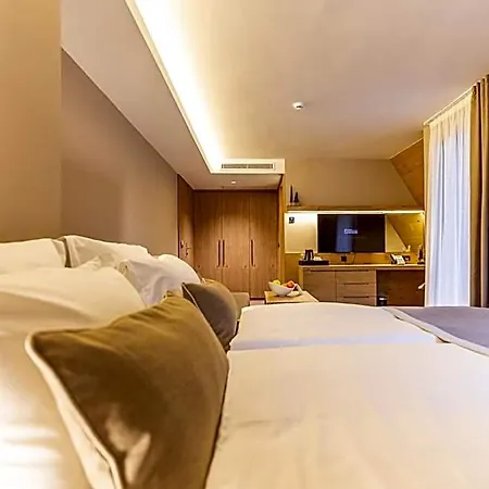 Hotel Monti & Wellness Hrasnica